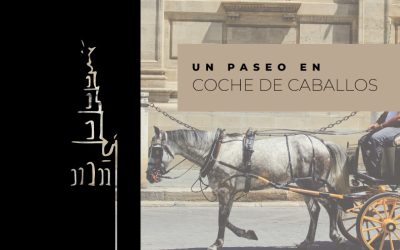 Paseo en coche de caballos por Sevilla